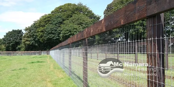 Fencing collection image