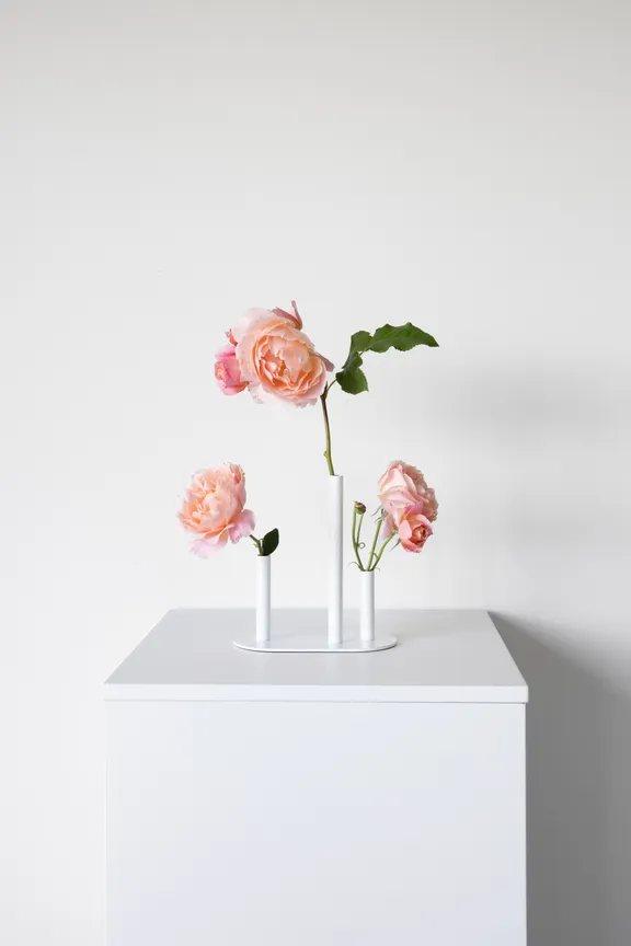 VASES collection image