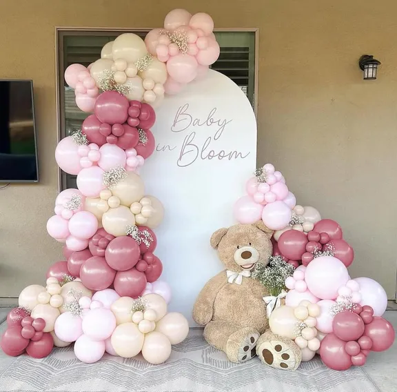 collection  collection image