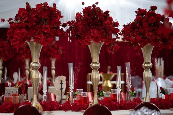 All Red Collection collection image