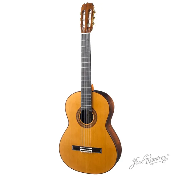 Guitarras collection image