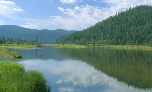 All collection image