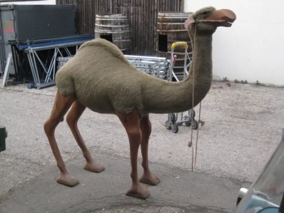 Tiere collection image