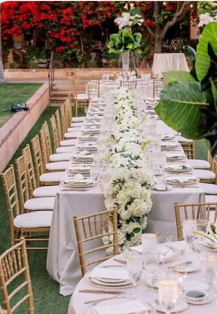  Chiavari Chairs collection image