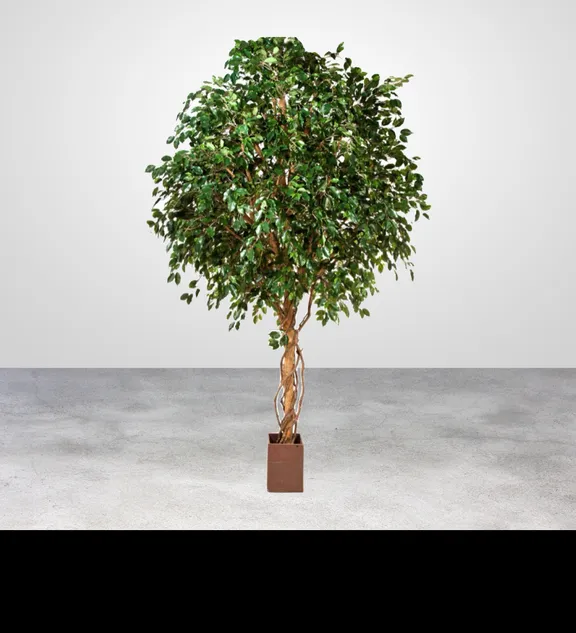 Plantas artificiais collection image