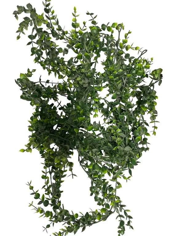 Greenery & Flowers collection image