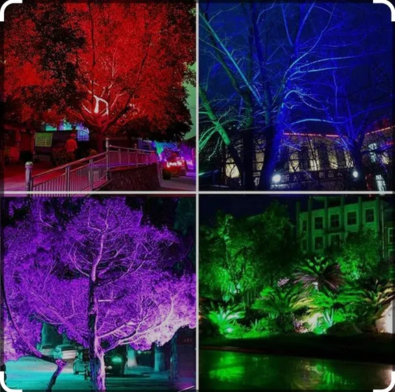 Foco puntual exterior collection image