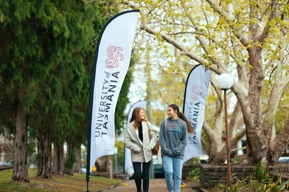 Flags collection image