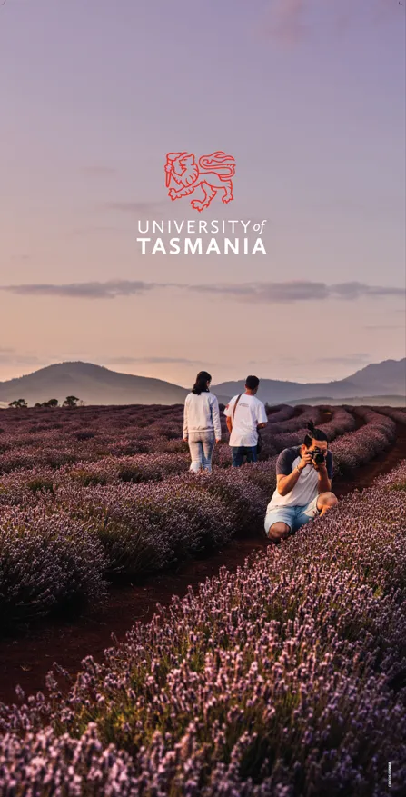 Media Walls collection image