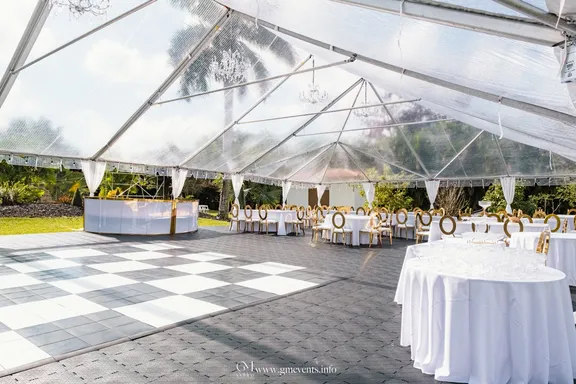 PARTY TENT RENTALS collection image