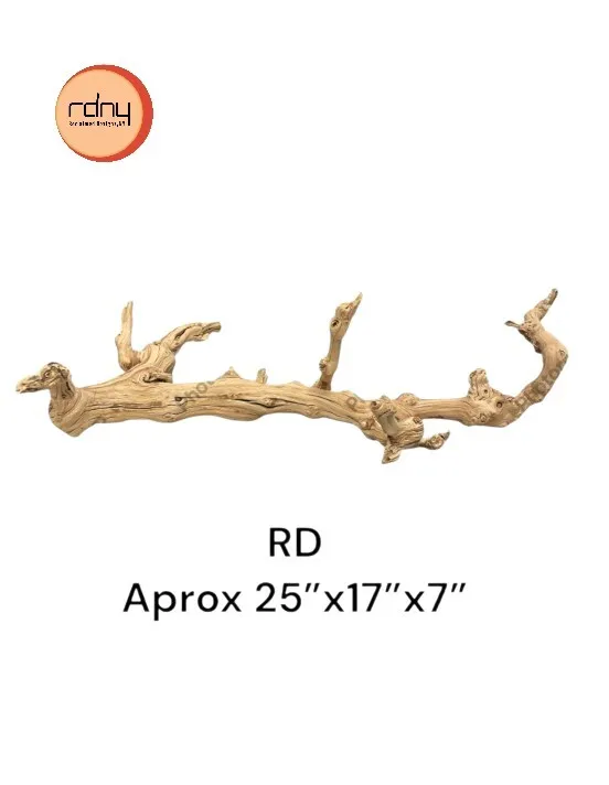 organic shapes collection image