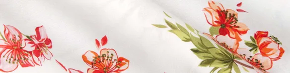 All collections 2 collection image