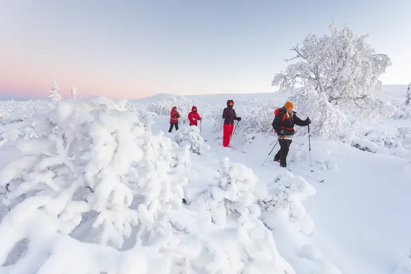 Tunturihiihto collection image