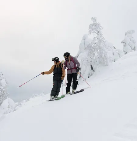 Vapaalasku collection image