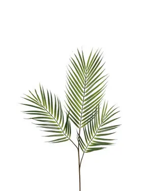 Kunstplanten collection image