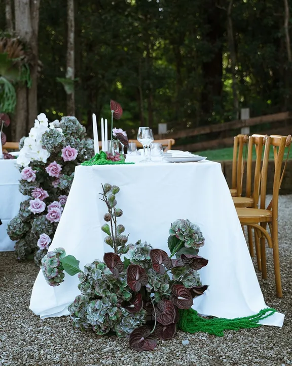 Table Linens collection image