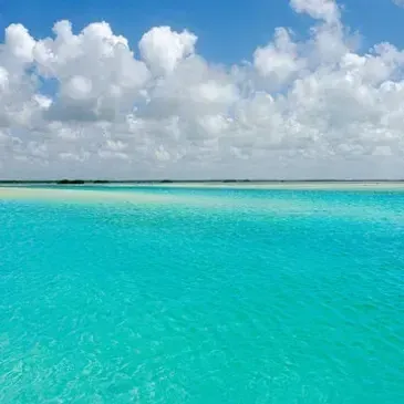 Holbox collection image