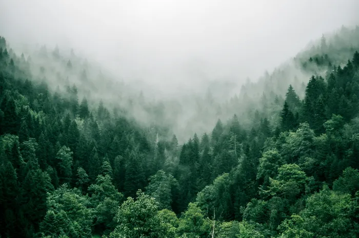 Ardennen