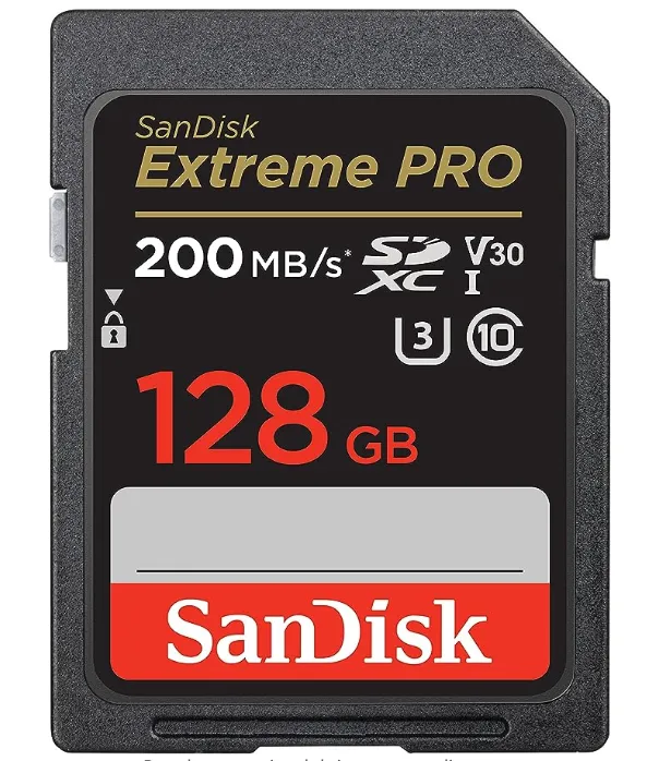 Tarjeta de memoria SD (variedad)